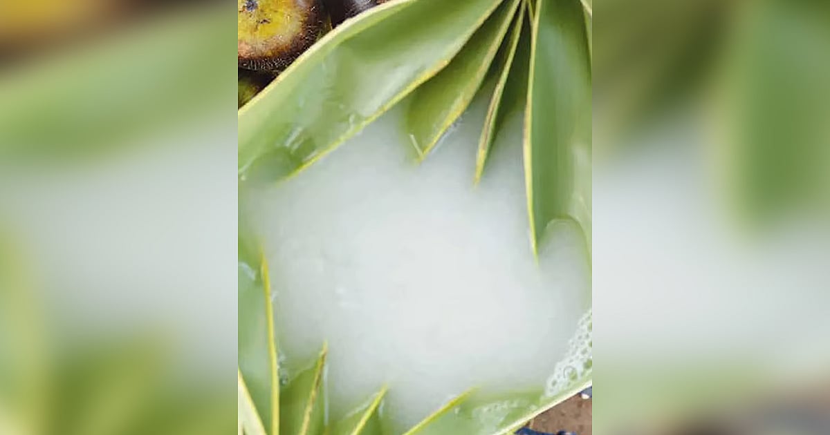 கோடைக்கால குளிர்ச்சி பானம் – பதநீரின் அற்புத நன்மைகள்!