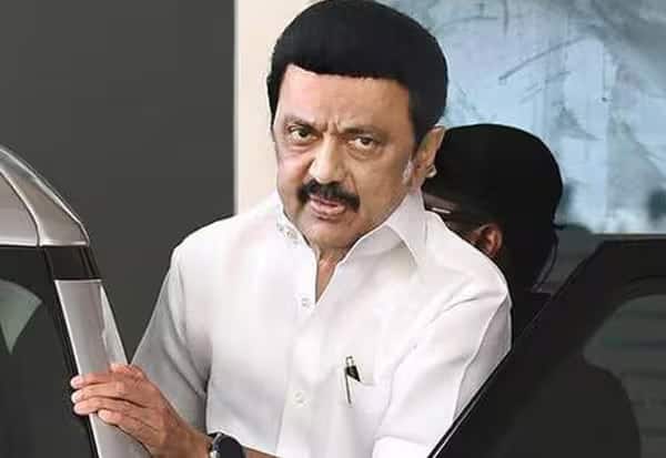 சட்டசபை தேர்தலில் வெற்றி வாய்ப்பு எப்படி? முதல்வர் ஸ்டாலின் பதில்