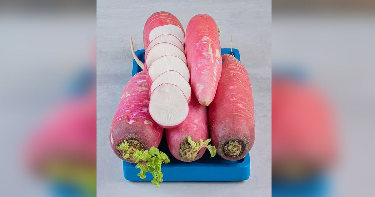 முள்ளங்கியை பச்சையாக சாப்பிடுவதால் பலன் அதிகம்