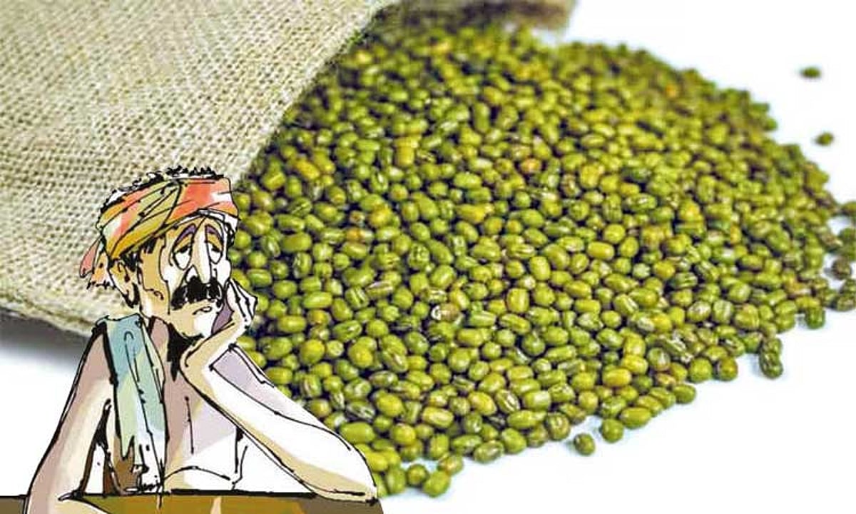 பச்சை பயறு கொள்முதல் தாமதம்: விவசாயிகள் வேதனை