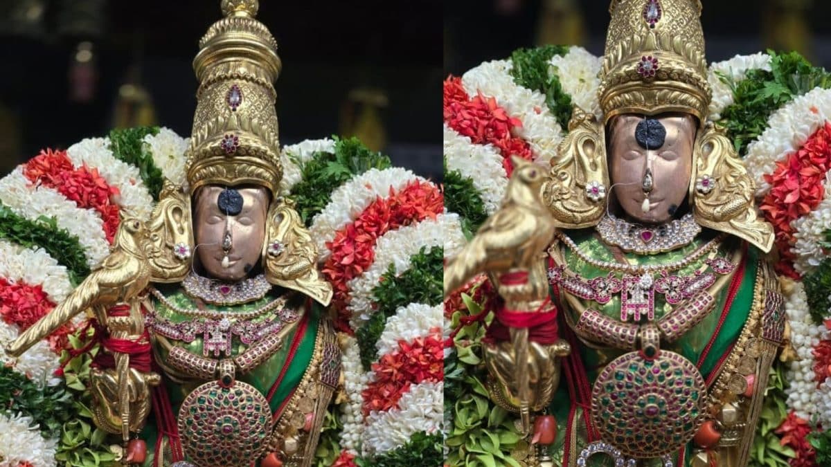 பச்சை பட்டு உடுத்தி வந்த மீனாட்சி.. இதுதான் பின்னணி