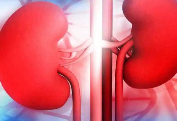 நாமக்கல் கிட்னி திருட்டு விவகாரம்: விரிவான விசாரணைக்கு தமிழக சுகாதாரத்துறை உத்தரவு