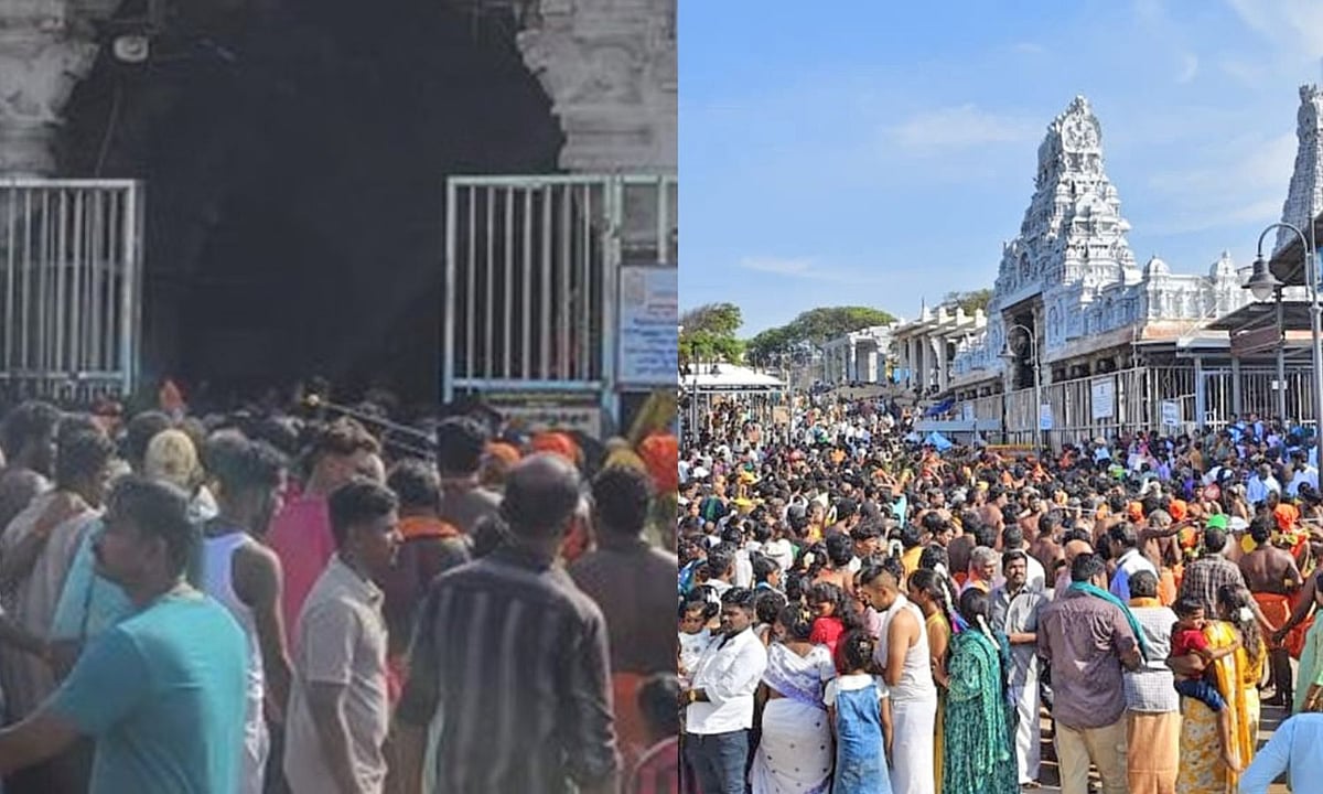 அதிர்ச்சி! திருச்செந்தூர் கோயிலில் 6 மணிநேரக் காத்திருப்பு: கதவுகளை உடைத்த பக்தர்கள் (ஜூன் 2024)