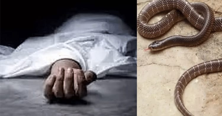 கட்டுவிரியன் பாம்பு கடித்து நகர காங்கிரஸ் தலைவர் பலி (Live Update) – சோகத்தில் கழுகுமலை