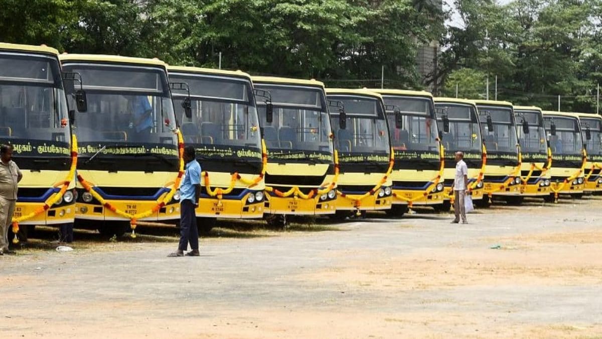 சிறப்பு பேருந்துகள்
