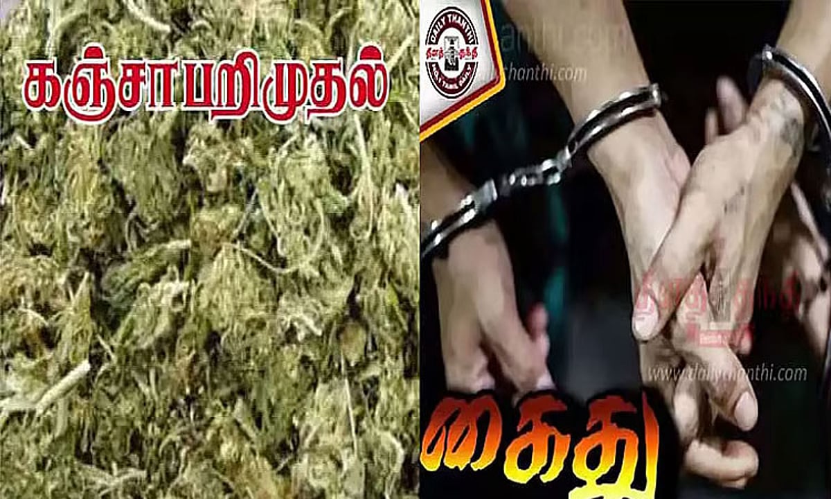 திருப்பதியில் 2 லட்சம் ரூபாய் மதிப்புள்ள கஞ்சா பறிமுதல்: மூவர் கைது