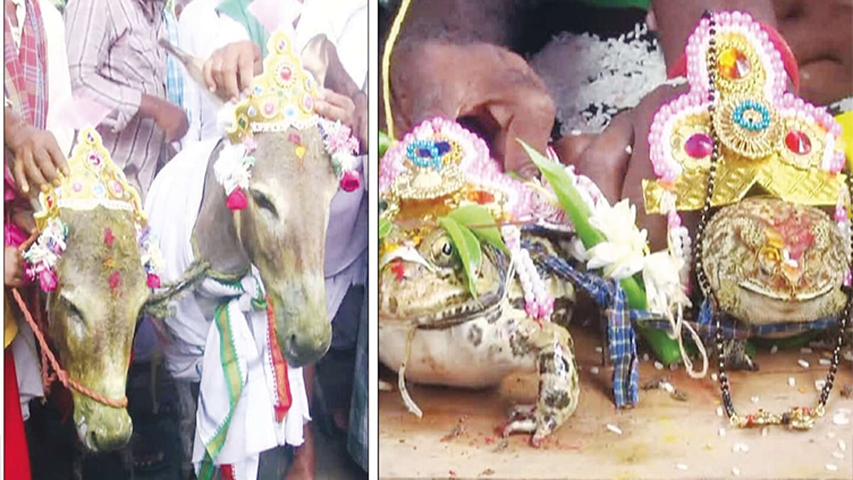 மழை வேண்டி வழிபாடு